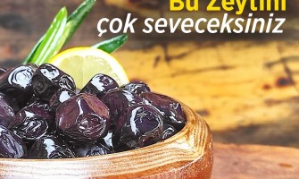 Gemlik Zeytini