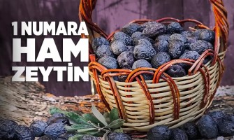 Ham Zeytin